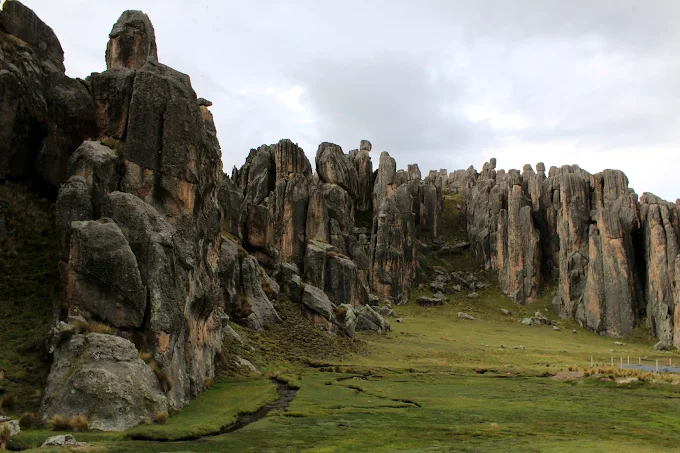 Bosque de piedras