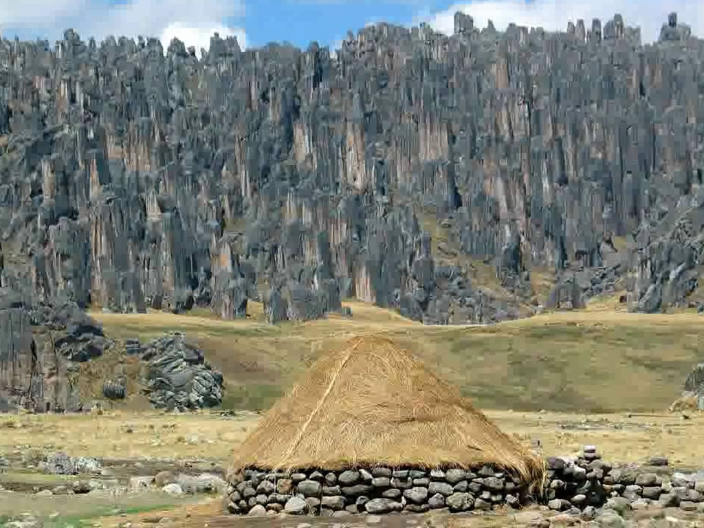 Bosque de piedras